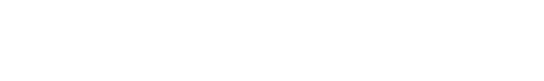 USER VOICE